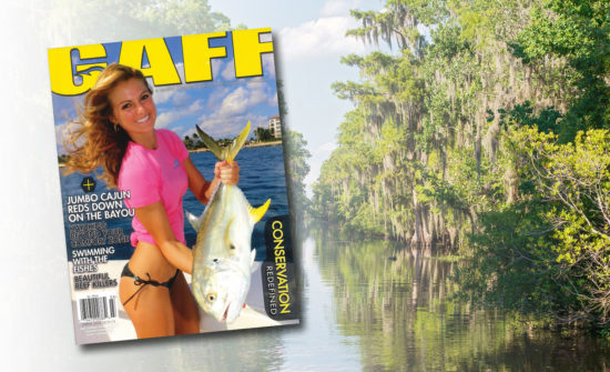 Delta Dreams of the Delta