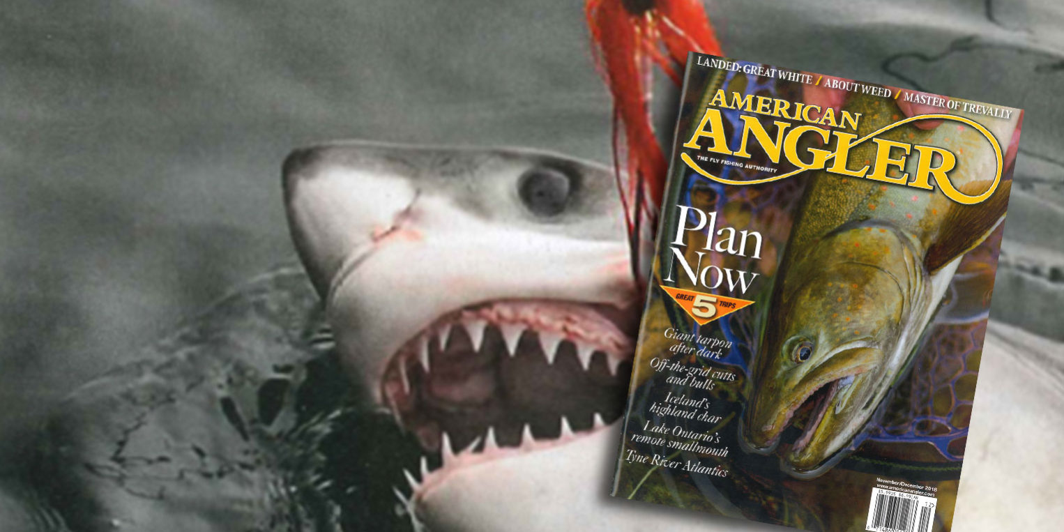 BeastMode Beast Mode