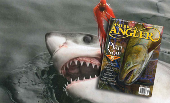 BeastMode Beast Mode