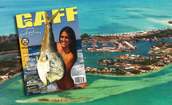 TreasureIsland Treasure Island